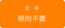 担保原則不要 担保原則不要
